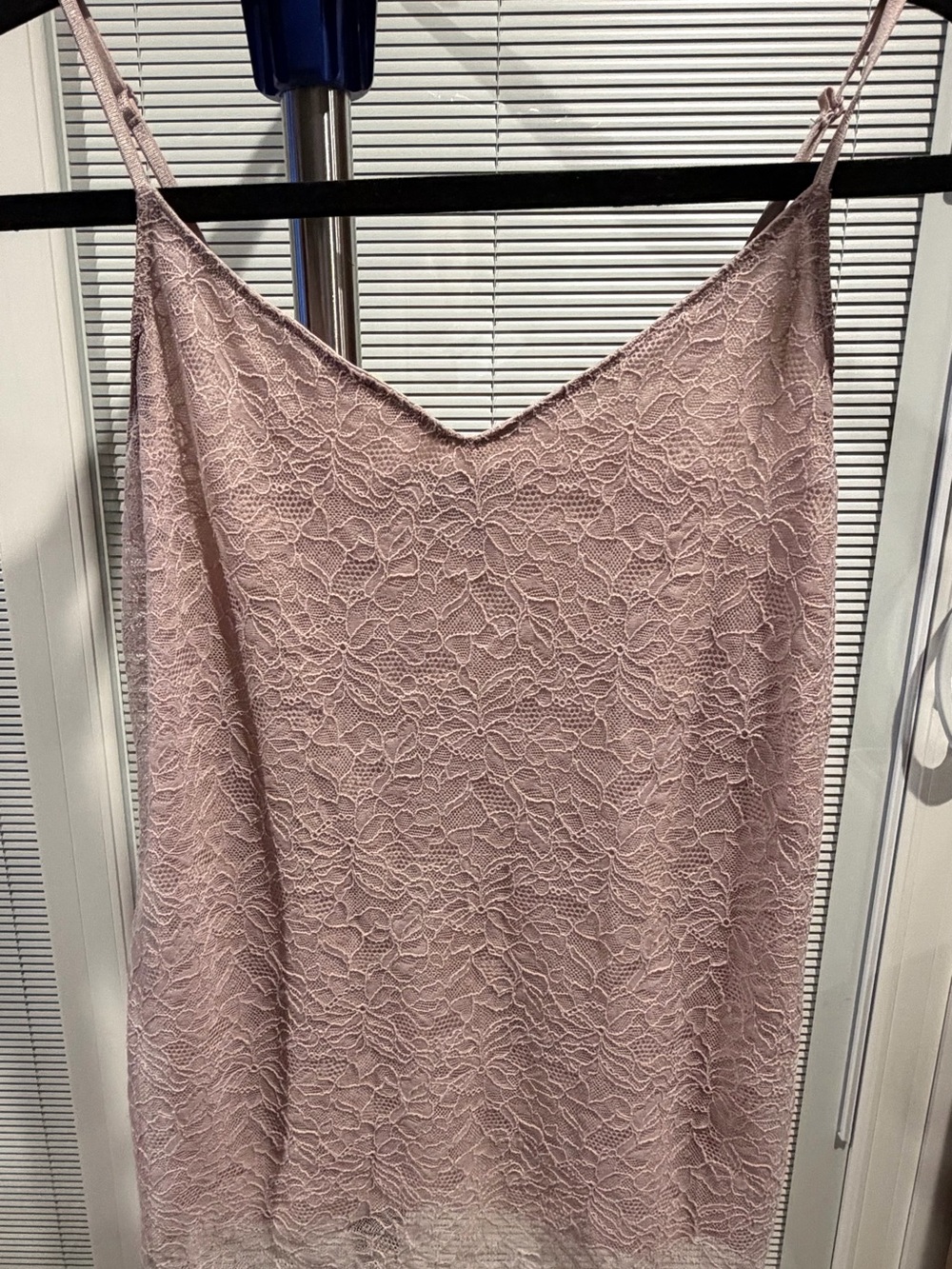 Banana Republic Blush Pink Lace Slip Top